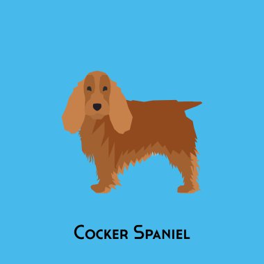 Yalıtılmış bir köpek