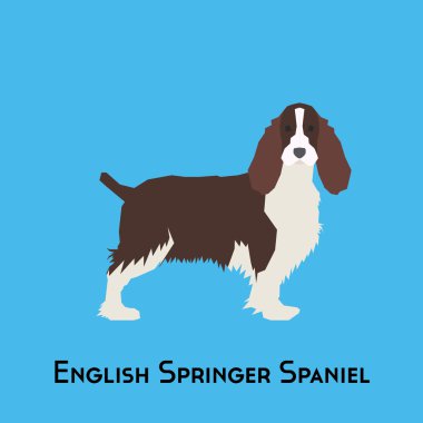 Yalıtılmış bir köpek