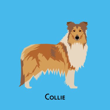 Yalıtılmış bir köpek