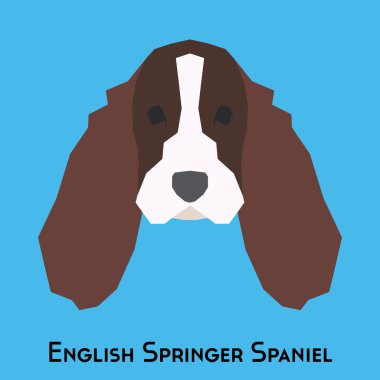 Yalıtılmış bir köpek