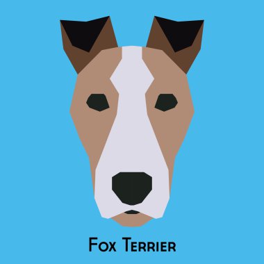 Yalıtılmış bir köpek