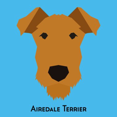 Yalıtılmış bir köpek