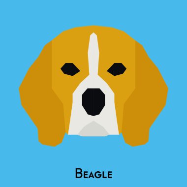 Yalıtılmış bir köpek