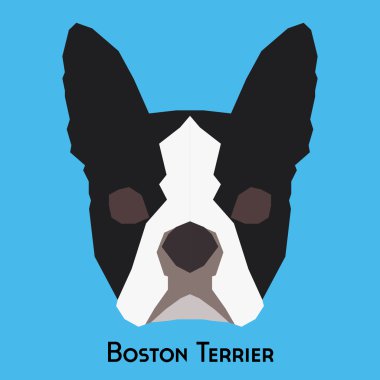 Yalıtılmış bir köpek