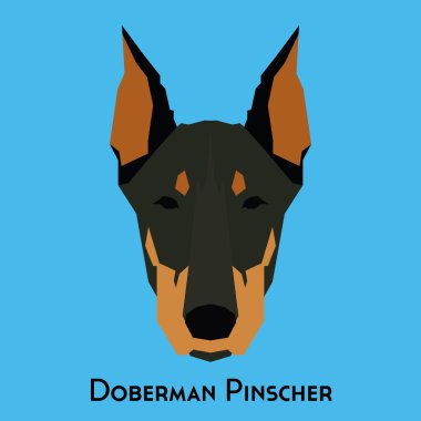 Yalıtılmış bir köpek