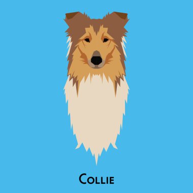 Yalıtılmış bir köpek