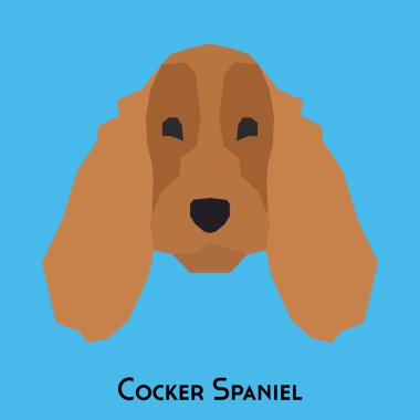 Yalıtılmış bir köpek