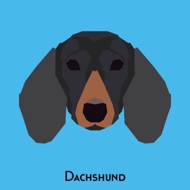 Yalıtılmış bir köpek