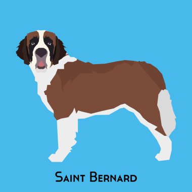 Yalıtılmış bir köpek