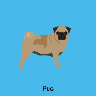 Yalıtılmış bir köpek