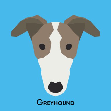 Yalıtılmış bir köpek