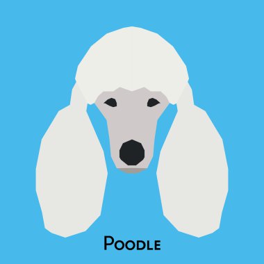 Yalıtılmış bir köpek