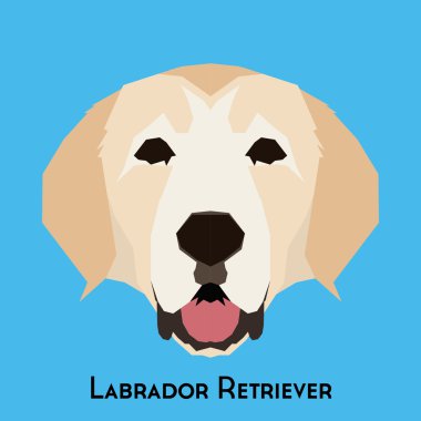 Yalıtılmış bir köpek