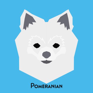 Yalıtılmış bir köpek