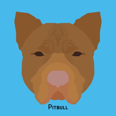 Yalıtılmış bir köpek