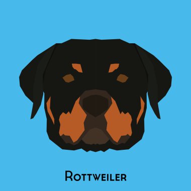 Yalıtılmış bir köpek