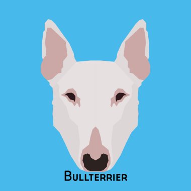 Yalıtılmış bir köpek