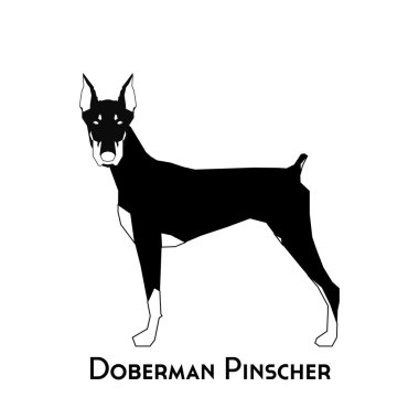 İzole köpek siluet