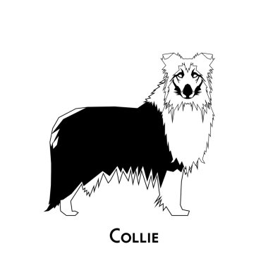 İzole köpek siluet