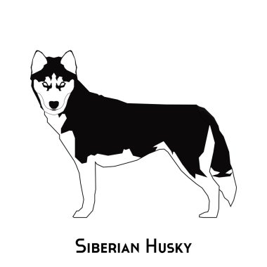 İzole köpek siluet