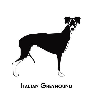 İzole köpek siluet