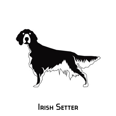 İzole köpek siluet