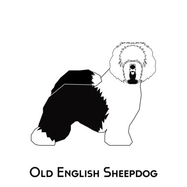 İzole köpek siluet