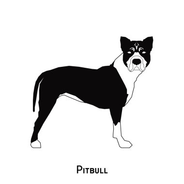 İzole köpek siluet