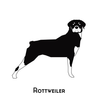 İzole köpek siluet