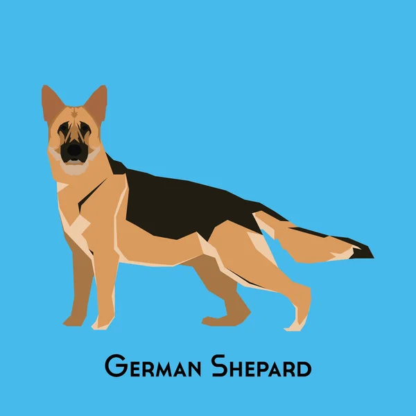 Un perro aislado — Vector de stock