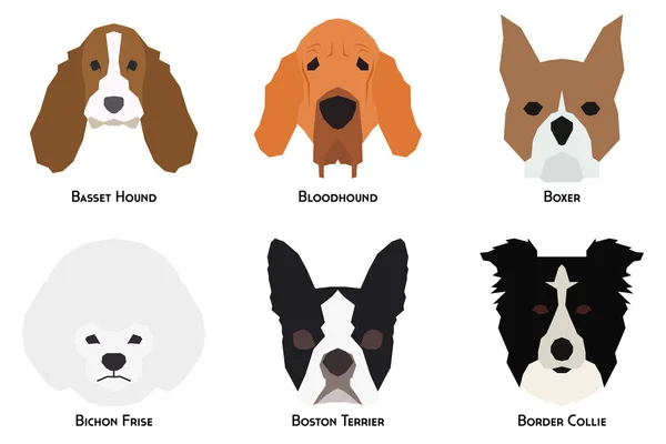 Ensemble de chiens — Image vectorielle