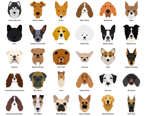 Conjunto de perros — Stockvector