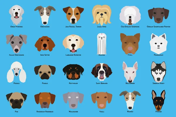 Juego de perros — Vector de stock