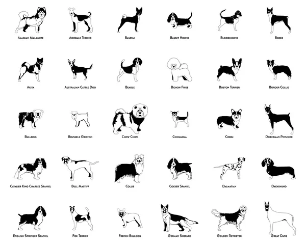 Ensemble de silhouettes pour chien — Image vectorielle