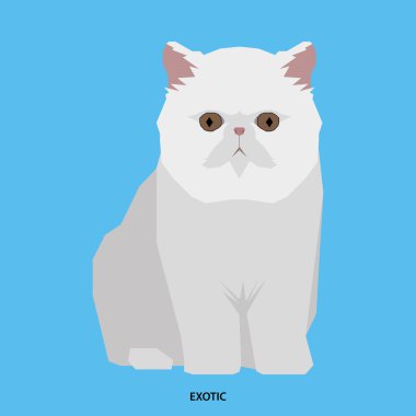 Kedi doğurmak, vektör çizim