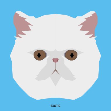 Kedi doğurmak, vektör çizim