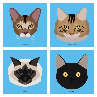 Kedi doğurmak-in, vektör çizim ayarla