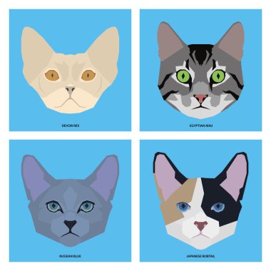 Kedi doğurmak-in, vektör çizim ayarla
