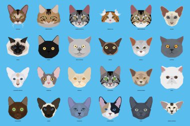 Kedi doğurmak-in, vektör çizim ayarla