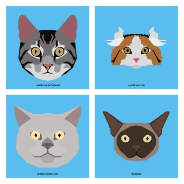 Kedi doğurmak-in, vektör çizim ayarla