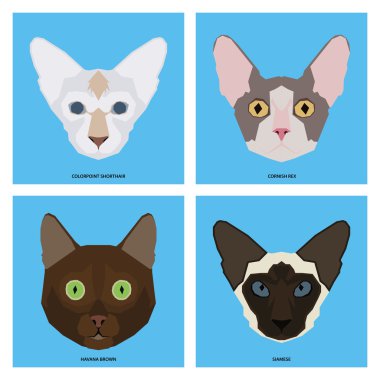 Kedi doğurmak-in, vektör çizim ayarla