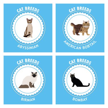 Kedi doğurmak-in, vektör çizim ayarla