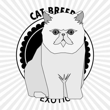 Kedi doğurmak, vektör çizim