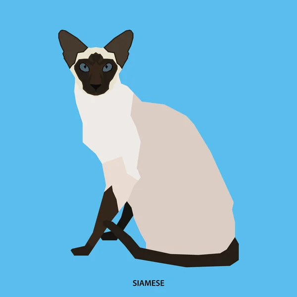 Kot rasa, ilustracji wektorowych — Wektor stockowy