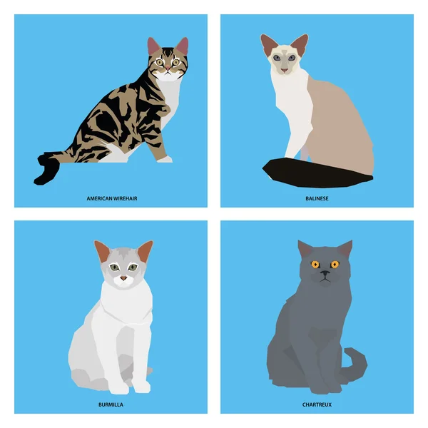 Набор пород кошек, векторная иллюстрация — стоковый вектор
