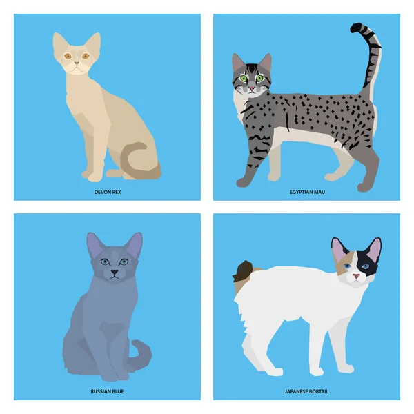 Sada plemen koček, vektorové ilustrace — Stockový vektor