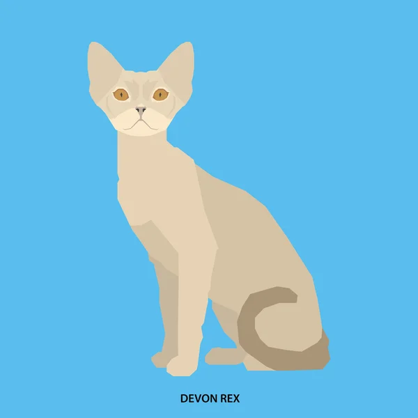 Kattenras, vectorillustratie — Stockvector