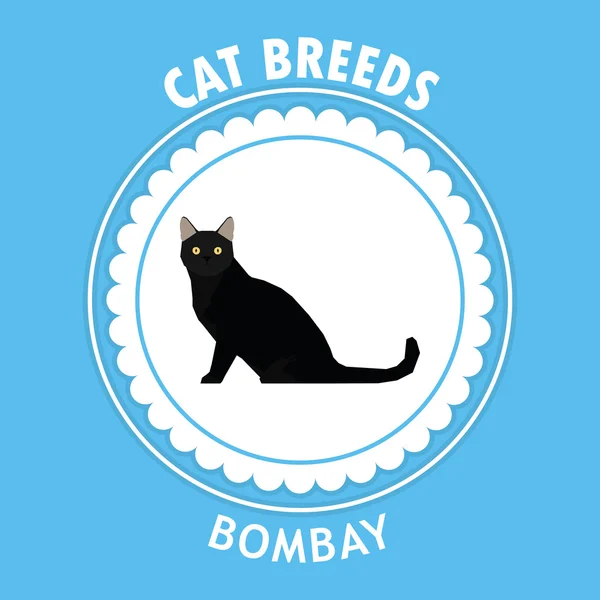 Cat breed, vector illustration — Stock Vector