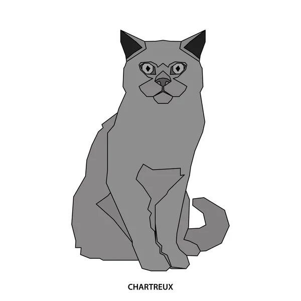 Порода кошек, векторная иллюстрация — стоковый вектор