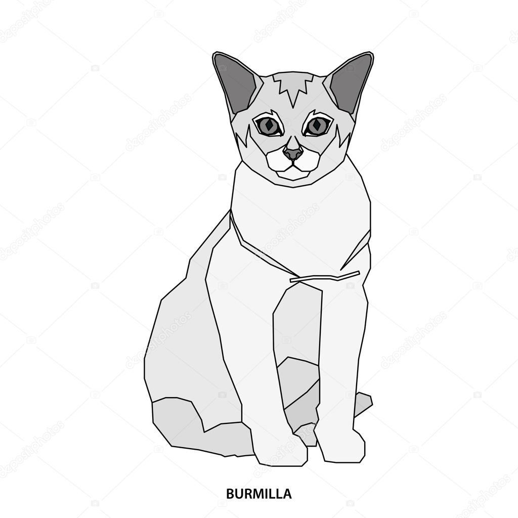 Gatto Di Razza Illustrazione Vettoriale Vettoriali Stock